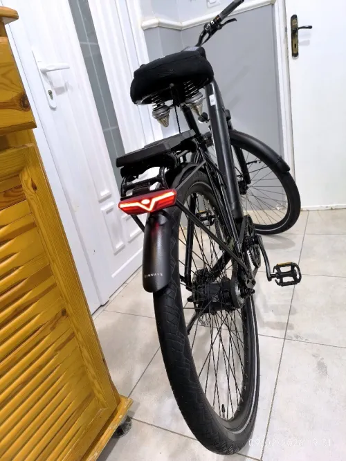 Vélo électrique TENWAYS CGO800S