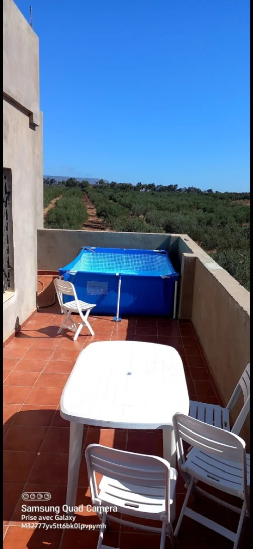 Vente Terrain Agricole Oran Es senia
