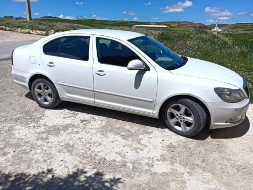 Skoda Octavia 2013 Octavia