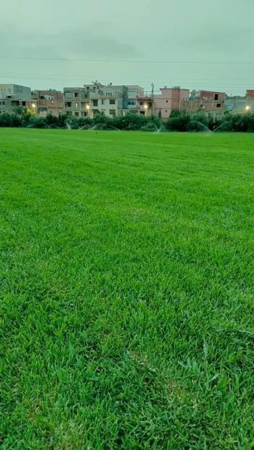 Aménagement des espaces vert et décoration des jardins 