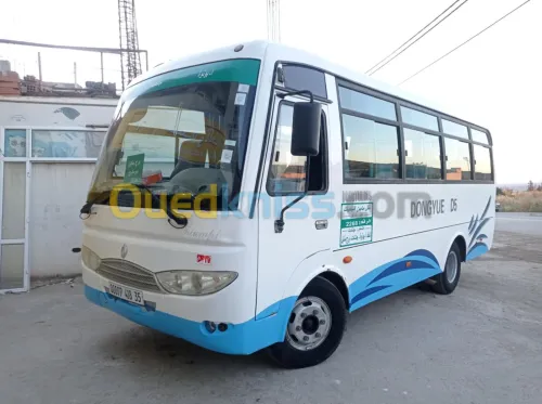 dongyue d5 2018
