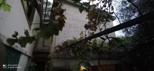Vente Villa Alger El biar