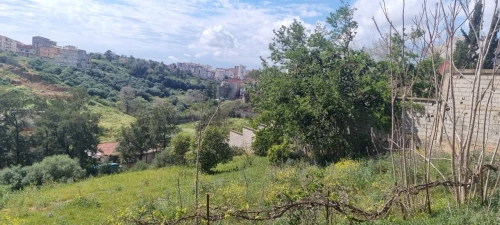 Vente Terrain Alger Ain naadja