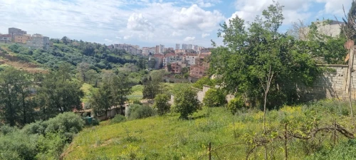 Vente Terrain Alger Ain naadja
