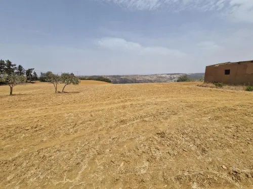 Vente Terrain Agricole Mostaganem Sidi lakhdaara