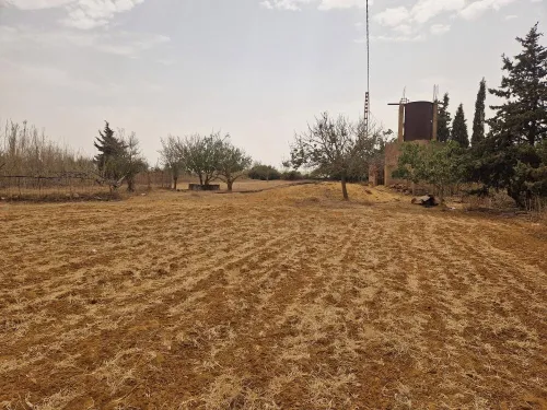 Vente Terrain Agricole Mostaganem Sidi lakhdaara