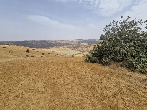 Vente Terrain Agricole Mostaganem Sidi lakhdaara