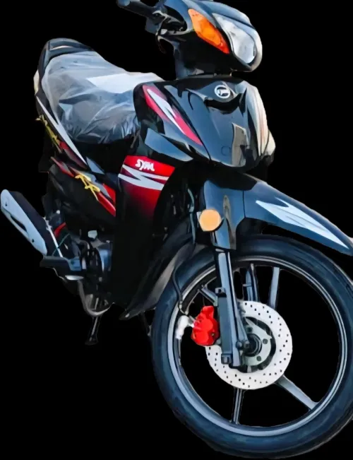 Sym Magic 110 2025