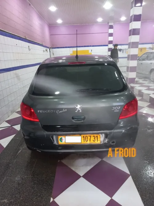 Peugeot 307 2007 Oxygo