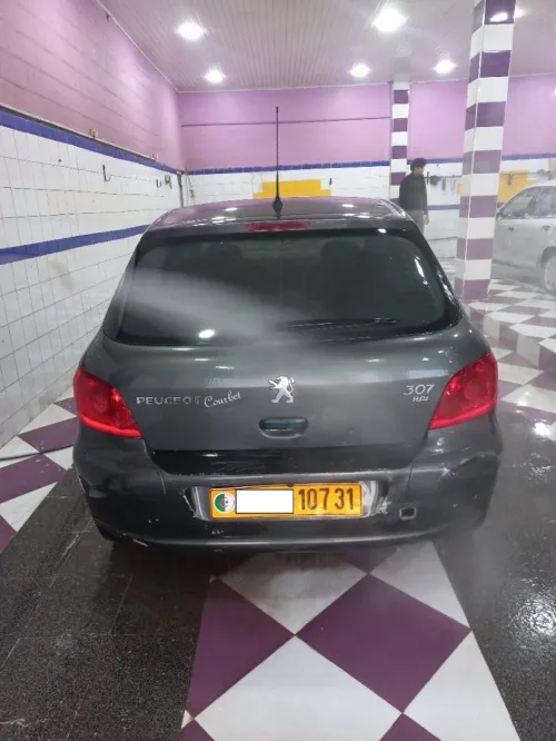 Peugeot 307 2007 Oxygo