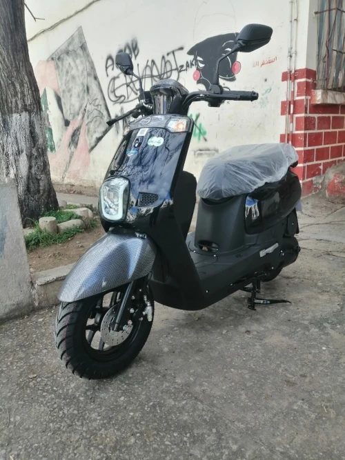 Vms Coxi 1 2026