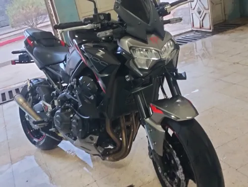 Kawasaki Z900 2023