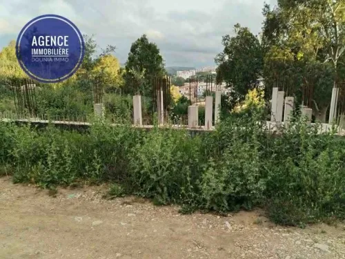 Vente bien immobilier Skikda Skikda