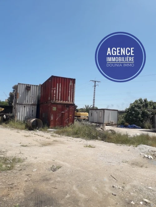 Vente Hangar Skikda Hamadi krouma