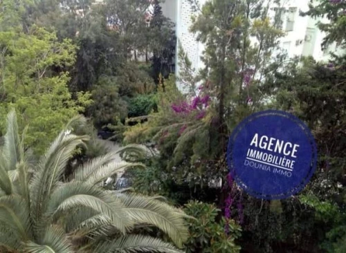 Vente Appartement F5 Alger Ben aknoun