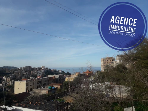 Vente Terrain Skikda Skikda