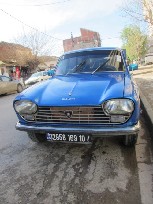 Peugeot 204 1969 