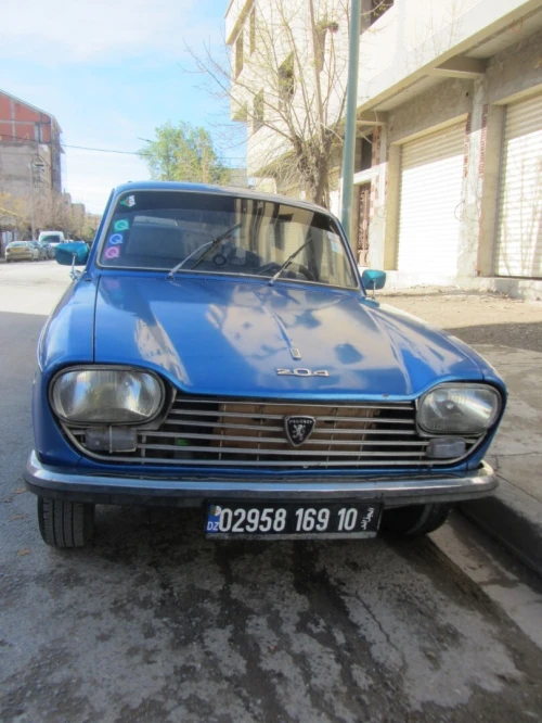 Peugeot 204 1969 