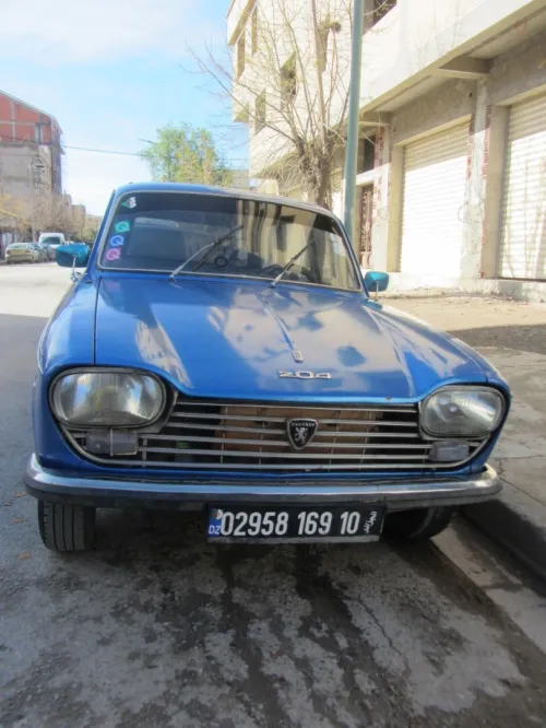 Peugeot 204 1969 