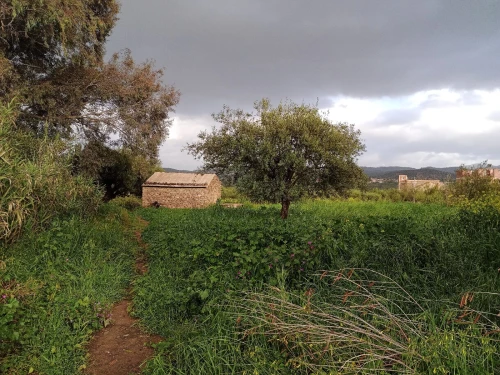 Vente Terrain Béjaïa Akbou