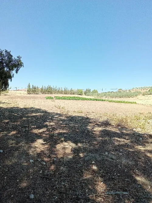 Vente Terrain Agricole Bordj Bou Arreridj El achir