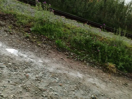 Vente Terrain Béjaïa Akbou