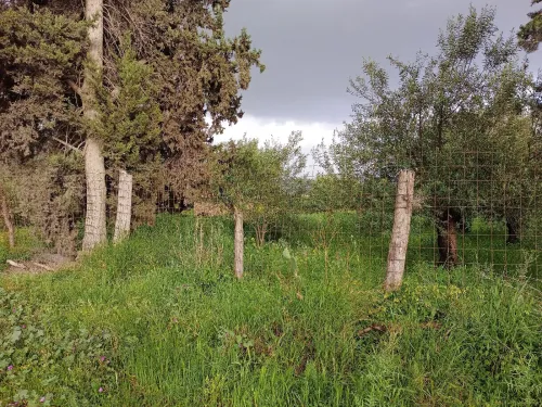 Vente Terrain Béjaïa Akbou