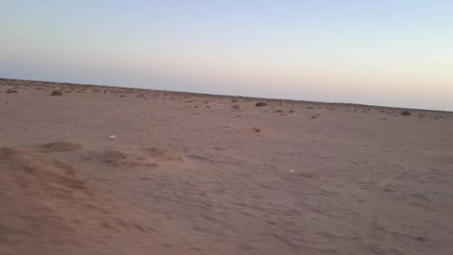 Vente Terrain Agricole Biskra Sidi okba