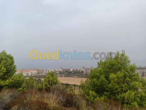 Vente Terrain Béjaïa Beni ksila