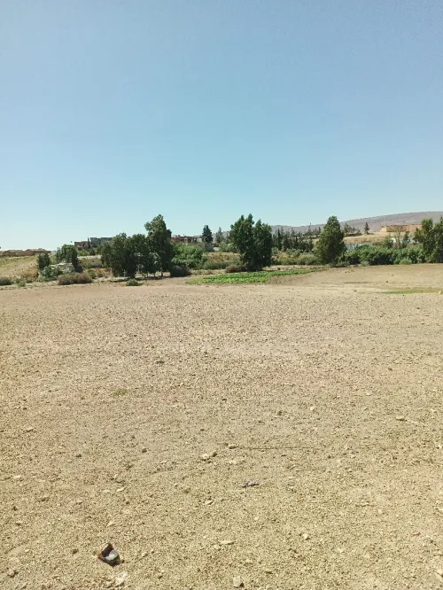 Vente Terrain Agricole Bordj Bou Arreridj El achir