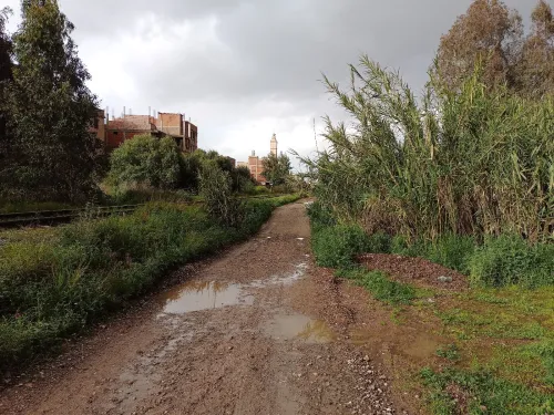 Vente Terrain Béjaïa Akbou
