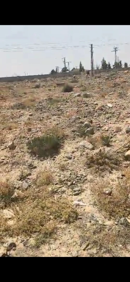 Vente Terrain M'Sila Msila