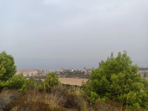 Vente Terrain Béjaïa Beni ksila