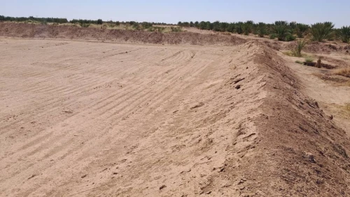 Vente Terrain Agricole Biskra Sidi okba