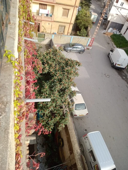 Vente Villa Béjaïa Bejaia 18
