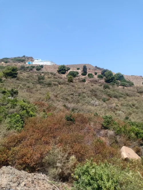 Vente Terrain Béjaïa Beni ksila