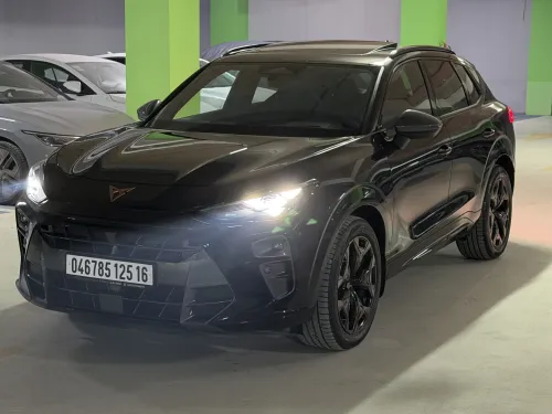 Cupra  Terramar 2025 