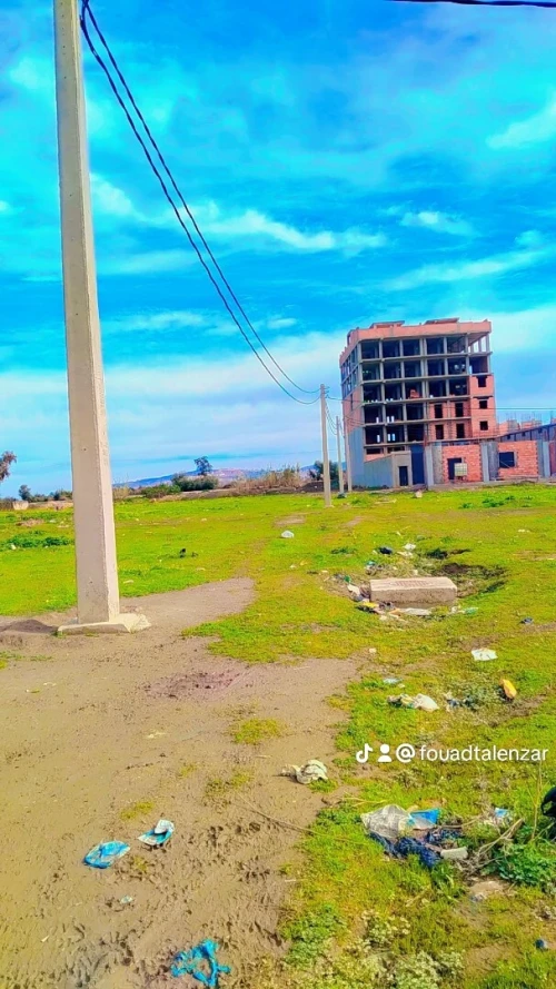 Vente Terrain Blida Bougara