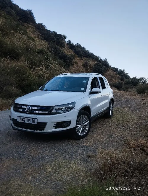 Volkswagen Tiguan 2015 Cup