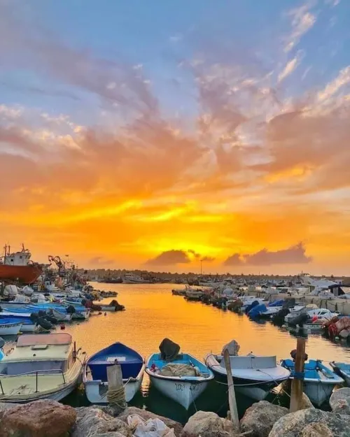 Location vacances Appartement F3 Mostaganem Sidi lakhdaara