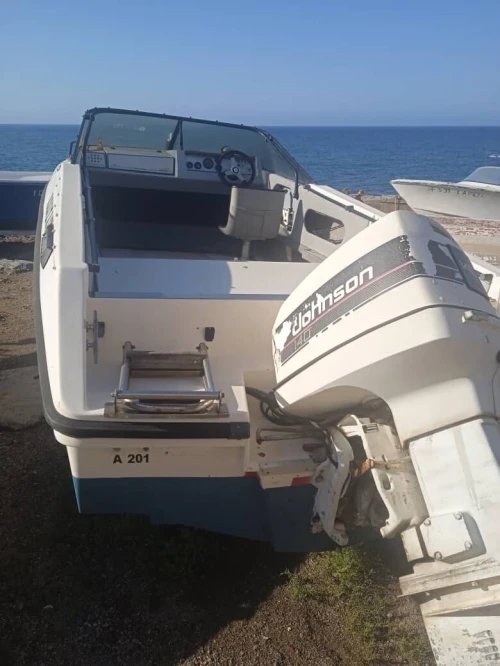 Bateau avec moteur