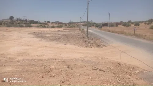 Vente Terrain Agricole Bouira Oued el berdi
