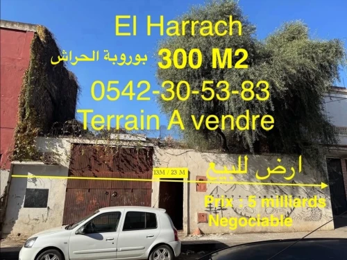 Vente Terrain Alger El harrach