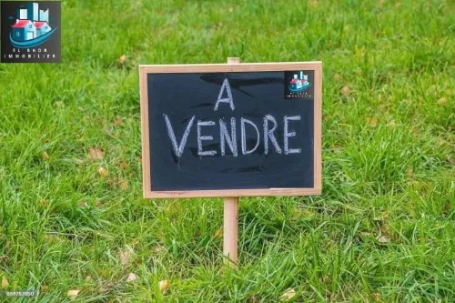 Vente Terrain Alger Rouiba