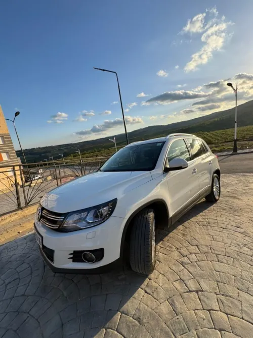 Volkswagen Tiguan 2014 cup
