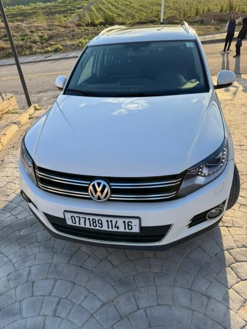 Volkswagen Tiguan 2014 cup