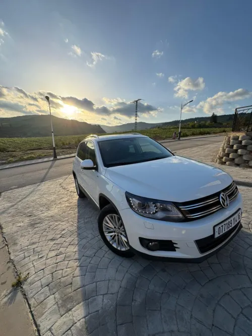 Volkswagen Tiguan 2014 cup