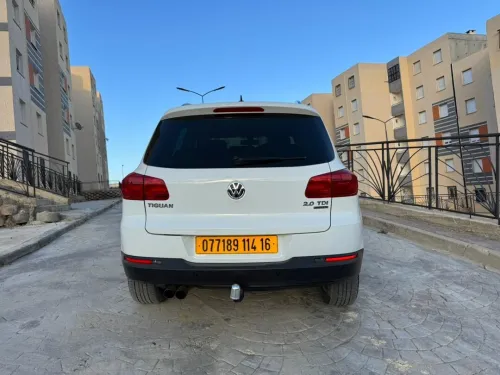 Volkswagen Tiguan 2014 cup