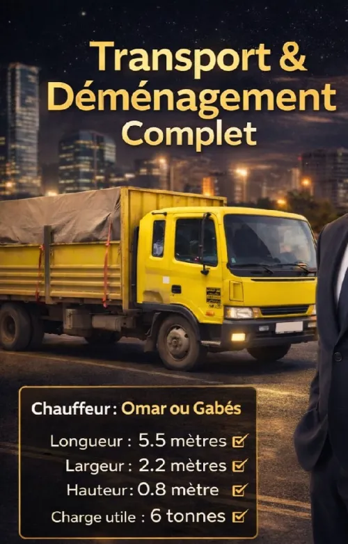 ترحيل الاثاث déménagement de