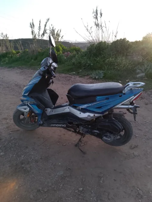 Matador Matador 